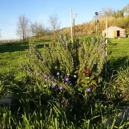 Luksusowy namiot Yurta Flora