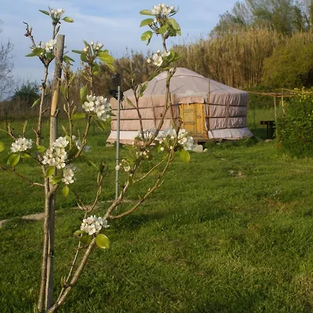 Yurta Flora *