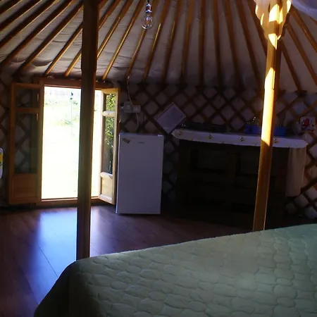 Yurta Flora *